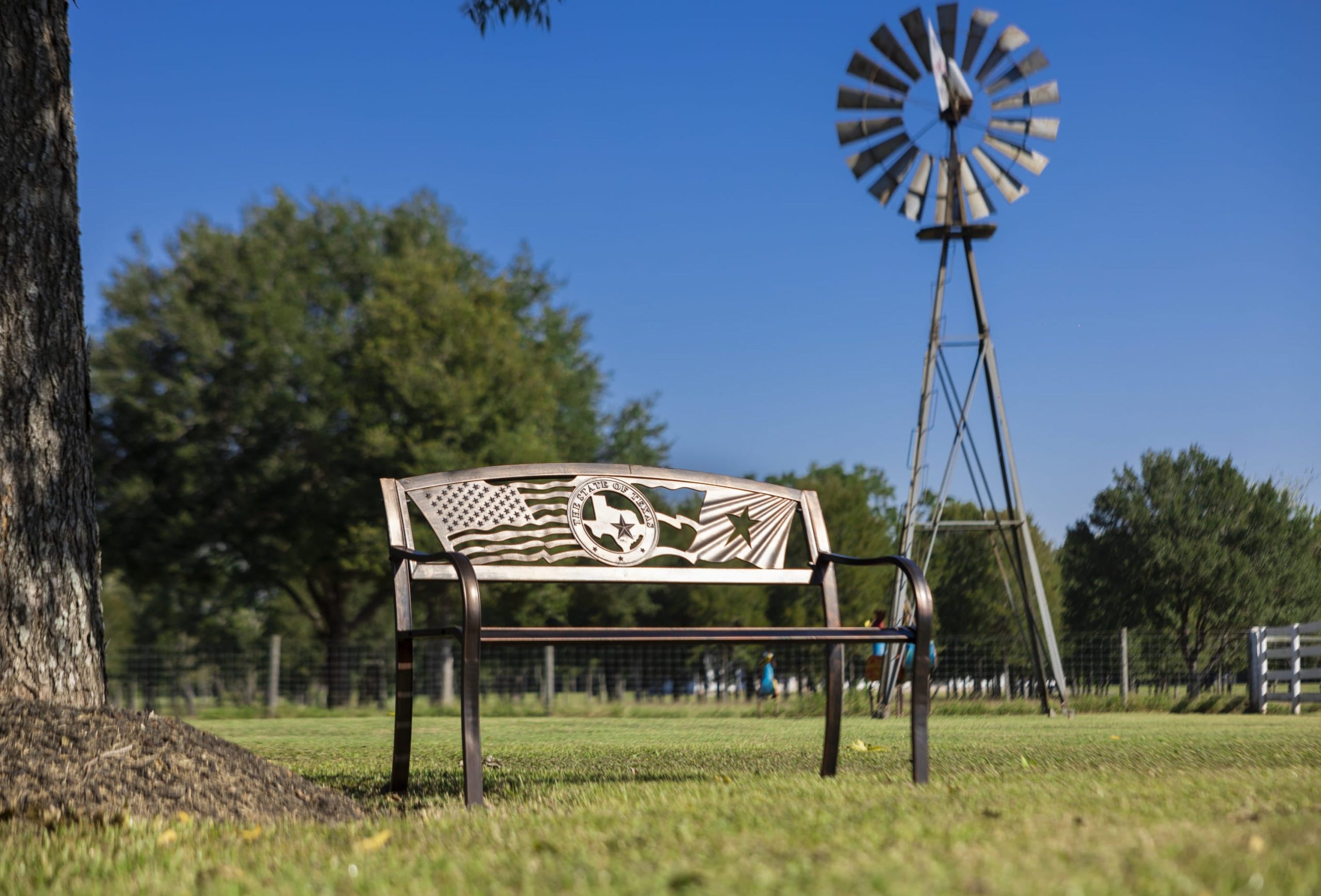 flags-over-texas-garden-bench-823.jpg